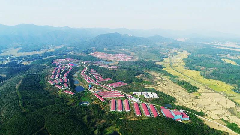 1575538669604199EUhQ.jpg 3.jpg