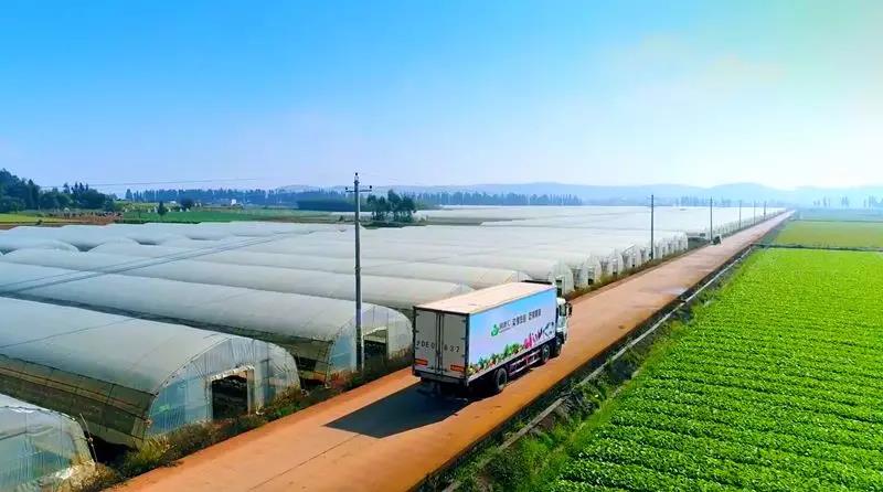 15755387077963990Z9A.jpg 7.jpg