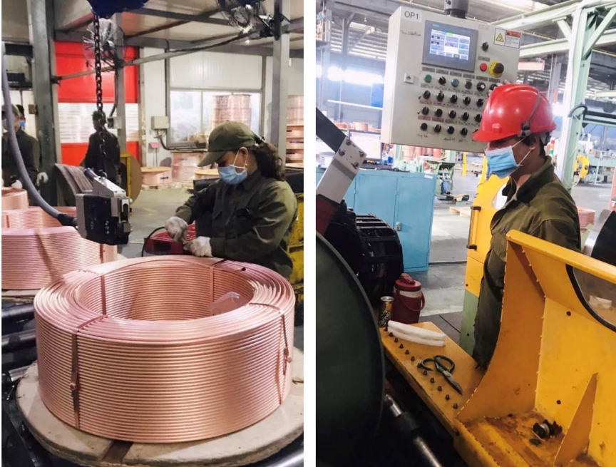 158259775656448073FT.png b.png